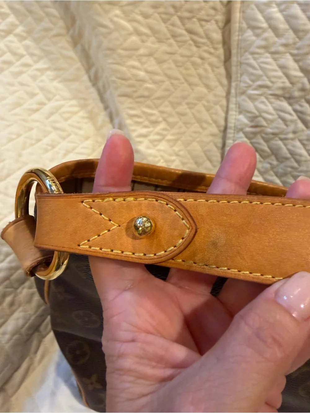 Louis Vuitton Monogram PM Delightful Shoulder Bag